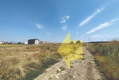 Vânzare teren intravilan în Măgurele -Vârteju - 8