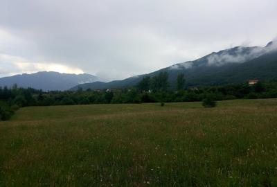 Teren parcelat in suprafata de 1100 mp, in Tohanita acces din soseaua Branului - 7