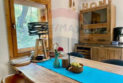 Casă de vacanță deosebită cu ciubăr si saună - natura si relaxare - 33