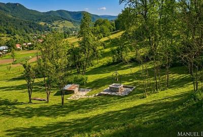 Teren Breaza 7000Mp intravilan - Valea Tarsei - 1