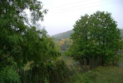Teren agricol extravilan de 23024 mp, în Brazii