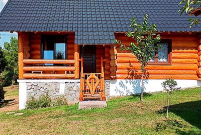 Cabana cu 7 camere de vanzare in Albac - V10073 - 14