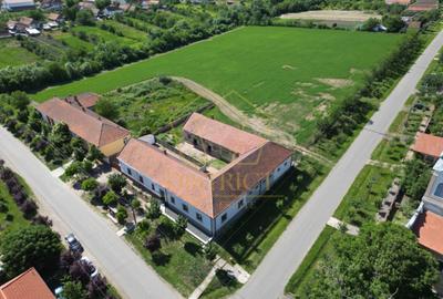 Casa cu istorie, teren de aproape 2 hectare si potențial rar | Petrovaselo - 14