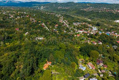 Teren 3.886 mp, Breaza - Podu Vadului, 30 m deschidere la asfalt - 12