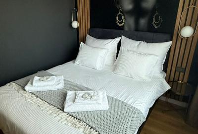 2 camere | Banesa | Sisesti | Herastrau | Casa Presei | Pet Friendly - 11