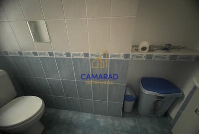 Apartament de închiriat în Piața Victoriei, 115 mp, centrală proprie - 10