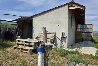 TEREN INTRAVILAN | 1000 MP | PALEU | BIHOR - 6