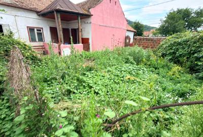 Casa 3 camere str. Mica Dumbraveni - Sibiu - 11