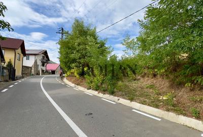 Teren 4.000 mp | Front Generos 47 ml | Utilități | La Asfalt | Cricău - 2