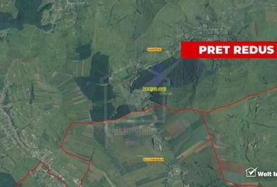 Teren extravilan de 29000 mp, în Pădureni (Chinteni)
