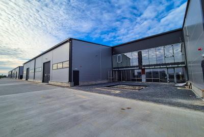 Spațiu industrial, 590 mp în Periferie