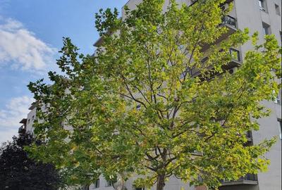 Apartament 3 camere de inchiriat metrou 3 min, parcare subterana inclusa - 19