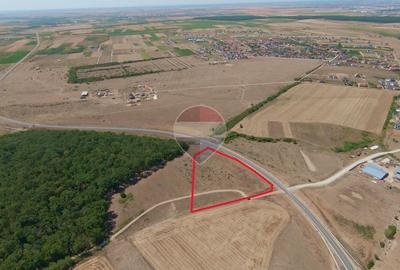 Teren 7.315 mp, Inel Metropolitan, proxim Zoopark Oradea, de vânzare - 10