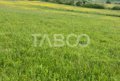 Teren agricol extravilan de 3600 mp, în Poplaca