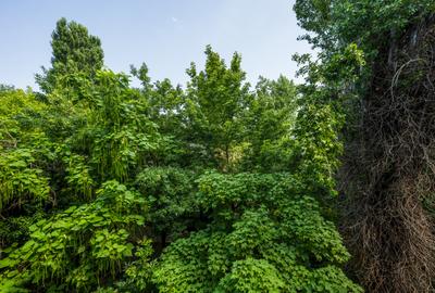 Apartament 2 camere Brancoveanu, Spitalul Marie Curie, decomandat, etaj 3/4 - 12