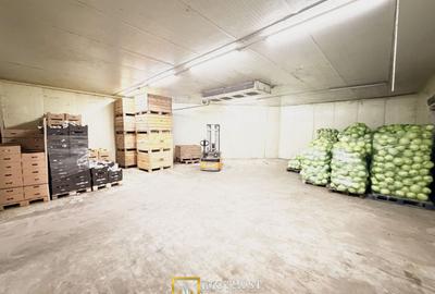 Hala industrială de vanzare Arad 540 mp, depozitare la rece, acces TIR - 2