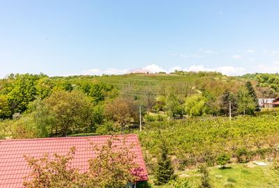 Teren 1.018 la 15 min de Ploiești | premium | zona dealuri - 5