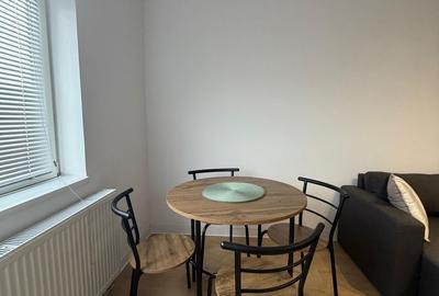 Apartament 1 Camera -  LIPOVEI - Complet Renovat - 5