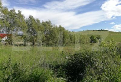 Teren Construcții intravilan de 5000 mp, în Sângeorgiu de Mureș