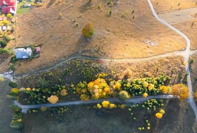 Teren 7.885 mp în Durău – poziție premium, belvedere 360° - 7