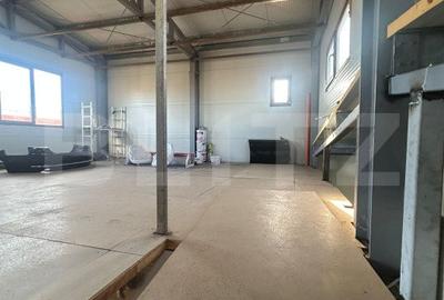 Spațiu industrial, de 350.00 mp, în Moșnița Nouă