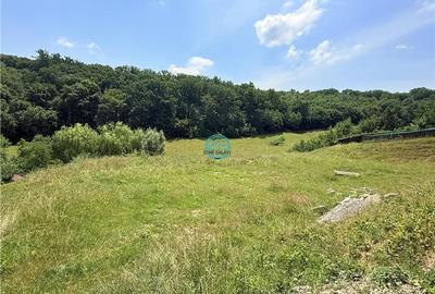 Vand teren 2500 mp in Unirii zona Laboratorului Denisa - 4