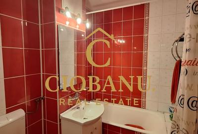 Apartament 3 camere DECOMANDAT etaj 2/4 de vanzare zona Lapus Arges - 3