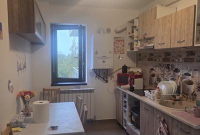 Ap 1 camera, Valea Lupului-Brown Luxury - 4