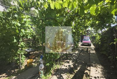 Casa individuala la pret de teren in Timisoara - 11