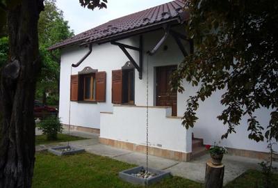 Vila romantica la Breaza - 11