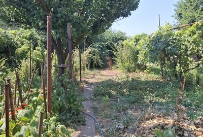 Casa la sol, teren 400 mp, gaz, Ville Noi, 100000 euro - 8