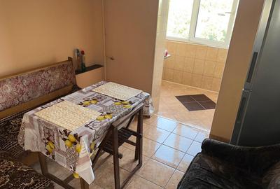 Apartament 2 camere Eremia Grigorescu,mobilat complet - 3