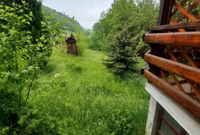 Casa individuala spatioasa cu teren generos- 900 mp, zona Lac Micesti, Cluj - 7