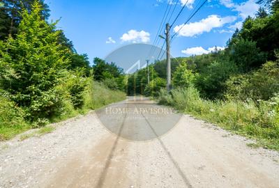 Refugiu în inima naturii | Proprietate premium în Pădurea Bogății - 10