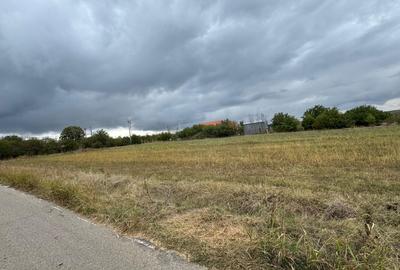 Vand teren Intravilan 1400 MP in Parcul National Comana - Vlad Tepes - Giurgiu - 11