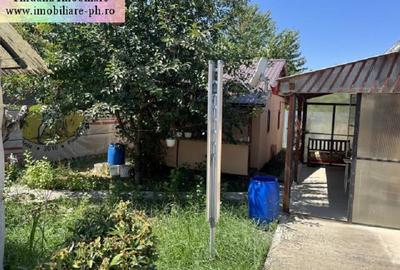 Casa de vanzare - Valea Calugareasca - 5