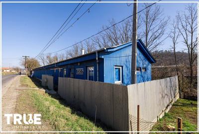Hală de producție și depozitare - Voiniceni, Mureș - 4