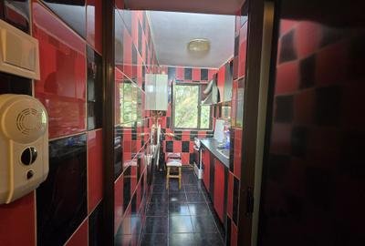 Apartament de inchiriat, 2 camere, semidecomandat, 48 mp, Alexandru cel Bun - 9