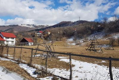 Teren de 10200mp,intravilan , cu deschidere la asfalt - 1