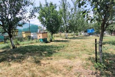 Teren 3100 mp cabana potential investitional Sura Mica Sibiu - 17