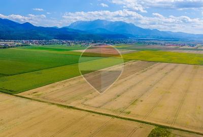Teren agricol extravilan de 20000 mp, în Cristian