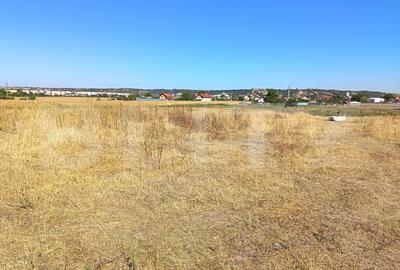 Teren agricol extravilan de 2300 mp, în Exterior Sud