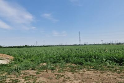 Teren intravilan de Vanzare - Popești-Leordeni / Splaiul Unirii - 14
