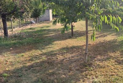 Casa cocheta cu livada si teren 1.200 mp-aproape de Pitesti - 29