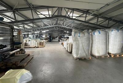 Spațiu Industrial Modern | Producție, Depozitare, Logistică - 11