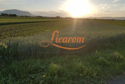 Teren intravilan Stupini front la Calea Feldioarei, DN 13 - 4