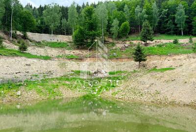 Oportunitate! Domeniu montan, cu lac propriu, oras Lupeni, Hunedoara - 27