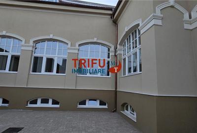 Birou, de 480 mp, în Ampoi 1