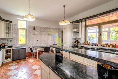 Proprietate unica, vila 1100 mp, 8000 mp teren, pe malul lacului Snagov - 11