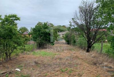 Teren intravilan 2562mp Loc 23 August | Ideal locuiță sau casă vacanță - 3